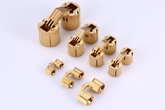 Wear Resistant Concealed Invisible Hinges Antiwear Waterproof